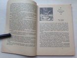 Из глубины пылающих недр  1969  95 с.ил. 8 л.фото., фото №5