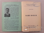 1955 р. Українське Полісся - Ф. Одрач, фото №3