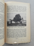 1955 р. Українське Полісся - Ф. Одрач, фото №8