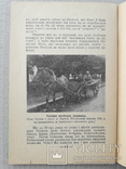 1955 р. Українське Полісся - Ф. Одрач, фото №12