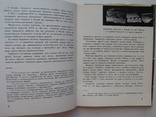 "Косівська кераміка" Юрій Лащук 1966 год, тираж 3 000, фото №6