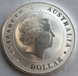 Ролл из 25 монет 1 $ 2014 год Австралия Крокодил серебро 777,55 грамм 999,9’, фото №3