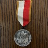 Медаль За Заслуги срібного класу., фото №2