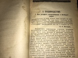 1925 Сад и Огород рабочего, фото №3