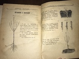 1925 Сад и Огород рабочего, фото №8