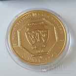 20 гривен 2015 года Украина золото 31,1 грамм 999,9’, фото №3