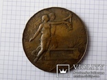 Выставочная медаль за заслуги Schellhorn Peternek 1896 год, фото №3