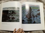 Stephan Koja - Monet, фото №5