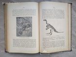 Мензбир Введение в изучение зоологии и сравнительной анатомии 1906, фото №2