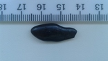 Метеорит Сихотэ- Алинь, фото №2