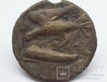 Монета Ольвия. Горгона, редуцированный асс ., фото №7