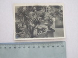 Почтовая карточка 1940 год Сочи, фото №2