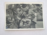 Почтовая карточка 1940 год Сочи, фото №3