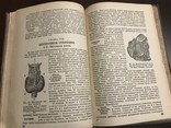 1935 Анатомия и физиология человека, фото №12