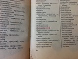 Орфографический словарь 1964 года, фото №4