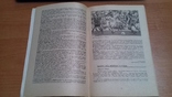 Футбол. Справочник-календарь на 1987 год. Москва. СССР, фото №6