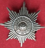 Знак на головной убор нижних чинов гвардии, фото №2