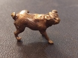 Собака бульдог в позе... бронза коллекционная миниатюра, фото №3