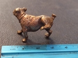Собака бульдог в позе... бронза коллекционная миниатюра, фото №7