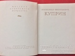 Книга-фотоальбом А.Куприн 1950г, фото №3