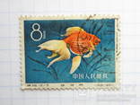 Марка 12-5 из серии "Рыбки" Китай 1960 г, фото №4