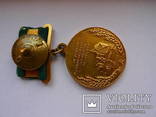 Большая золотая №1085 и Большая серебрянная №5651 медали ВСХВ 1954 год, фото №3