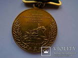 Большая золотая №1085 и Большая серебрянная №5651 медали ВСХВ 1954 год, фото №4