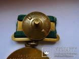 Большая золотая №1085 и Большая серебрянная №5651 медали ВСХВ 1954 год, фото №5