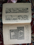 1927 Кустарное производство игрушек, фото №7