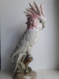 Попугай Какаду, Royal Dux,  пер. пол. 20 в В; 38 см., фото №2