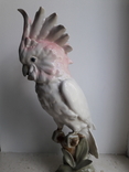 Попугай Какаду, Royal Dux,  пер. пол. 20 в В; 38 см., фото №3