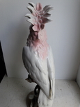 Попугай Какаду, Royal Dux,  пер. пол. 20 в В; 38 см., фото №4