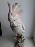 Попугай Какаду, Royal Dux,  пер. пол. 20 в В; 38 см., фото №5