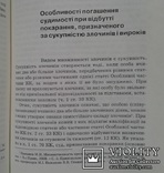 В.В.Голiна. Судимiсть. (Монографiя)., фото №8