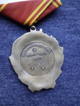 Орден Ленина, копия, фото №3