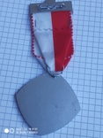 Медаль стрельба Швейцария Kantonalstich 2009, фото №5