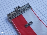 Медаль стрельба Швейцария Kantonalstich 2005, фото №4