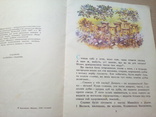 Марко Вовчок "Ведмідь",  Київ "Веселка" 1980, фото №7