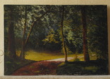 Картина пейзаж «Лесная дорога» с автографом автора., фото №5