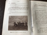 1915 Императорская Академия Художеств Музей, фото №11