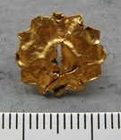 Золотая накладка с крепежными элементами ( усиками )., фото №3