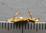 Золотая накладка с крепежными элементами ( усиками )., фото №5