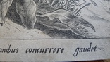 Сцена охоты.Гравюра на меди.1570 год. Ян ван дер Страт(Страданус) 1523-1605гг., фото №10