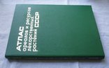 Атлас ареалов лекарственных растений СССР. 1980г. Огромный формат., фото №2