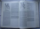 Атлас ареалов лекарственных растений СССР. 1980г. Огромный формат., фото №9