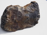 Необычный магнитный камень, фото №3