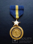 Медаль ВМФ США за отличную службу, фото №2
