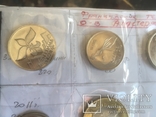 Коллекция монет "Остров Амстердам и Сент-Поль", фото №10
