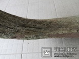 Рог первобытного бизона ( Bison рriscus), фото №12