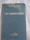 1937 г. Харьков Овочівництво, фото №3